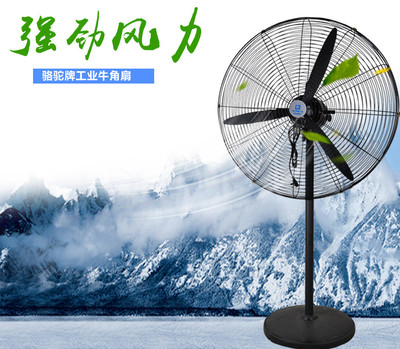 工业巨擘，清凉劲风 骆驼CAMEL 750mm大型商用工业扇深度解析